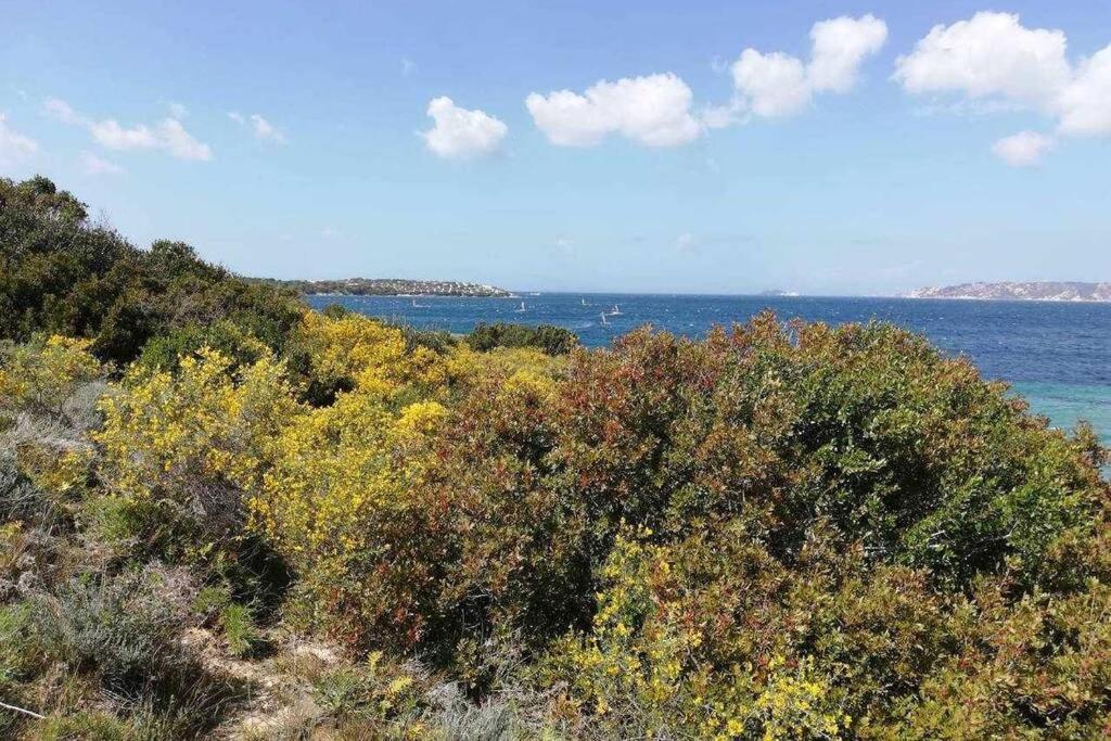 Apartamento Casa Di Lu' - Bilocale Con Giardino - Porto Pollo Exterior foto